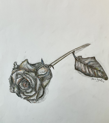 Rose Study #2