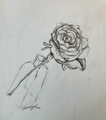 Rose Study #3